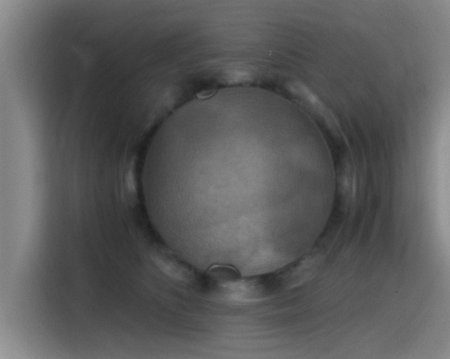 X0000115410516200911101614