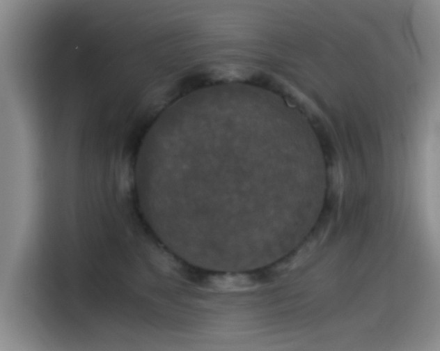 X0000115410517200911101614