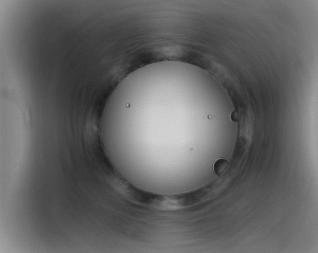 X0000115410518200911101614