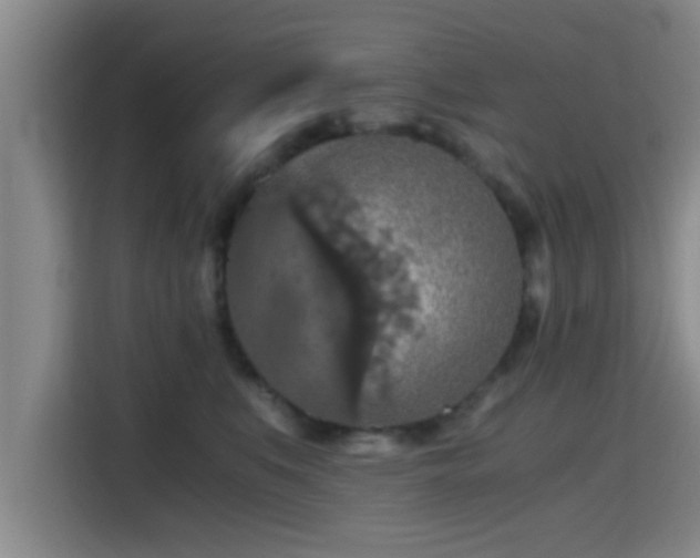 X0000115410519200911101614