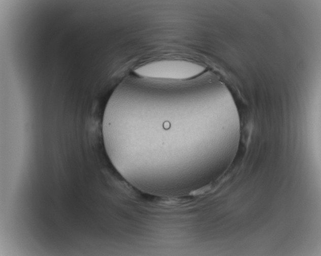 X0000115410521200911101614