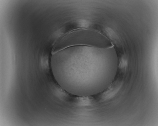 X0000115410524200911101614