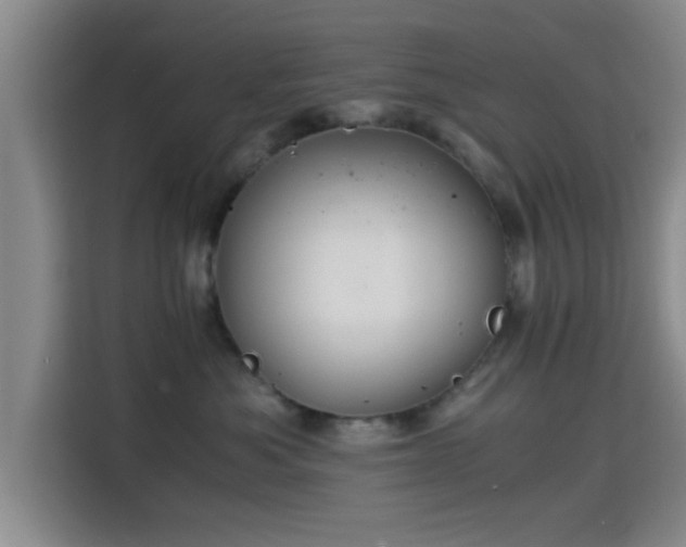 X0000115410525200911101614