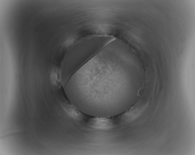 X0000115410528200911101614