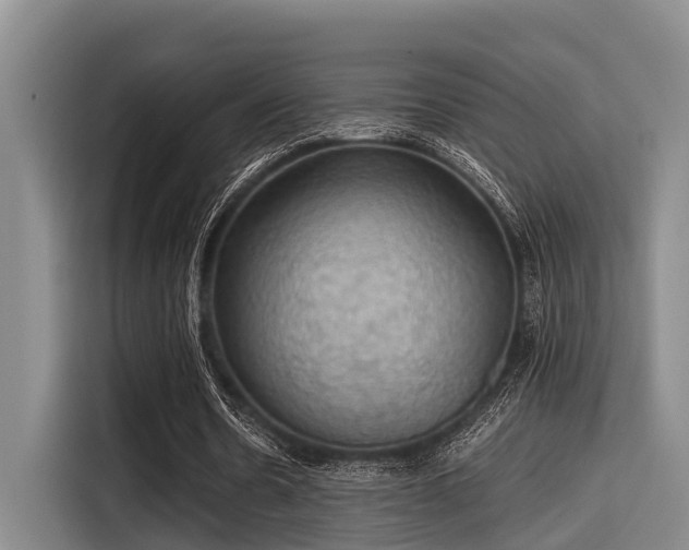 X0000115410530200911101613