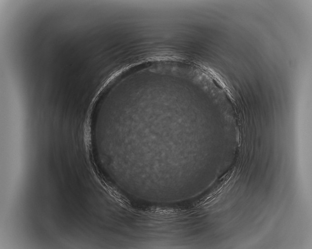 X0000115410531200911101613
