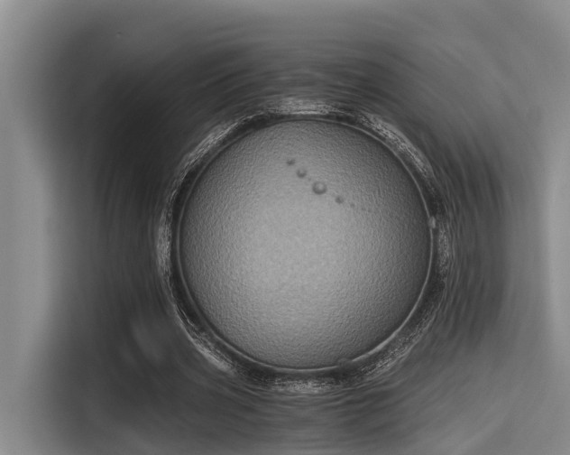 X0000115410533200911101613