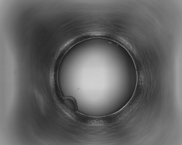 X0000115410535200911101613