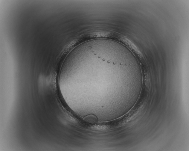 X0000115410537200911101613
