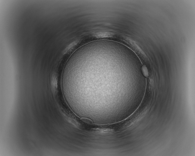 X0000115410539200911101613