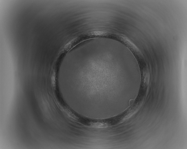 X0000115410542200911101613