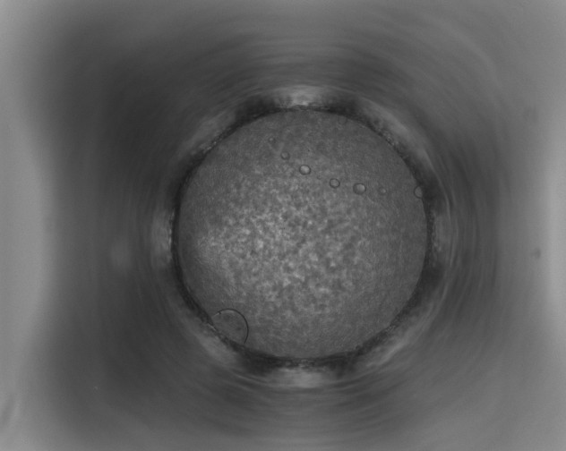 X0000115410545200911101613