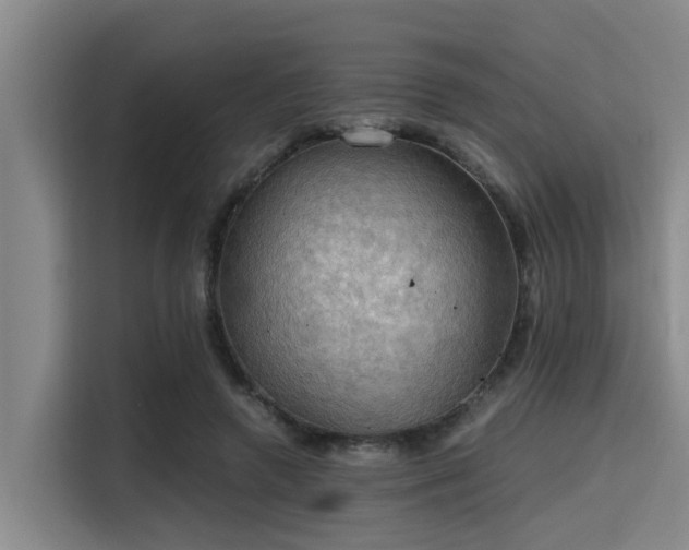 X0000115410546200911101613