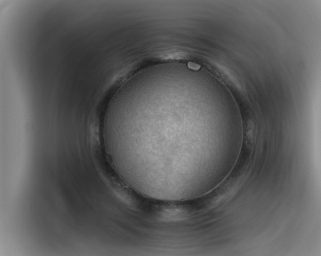 X0000115410547200911101613