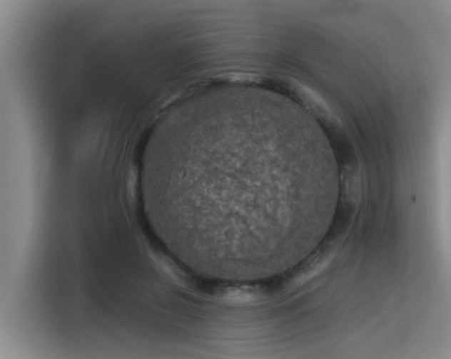 X0000115410550200911101613