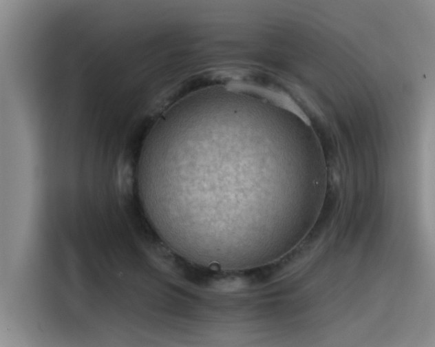 X0000115410551200911101613