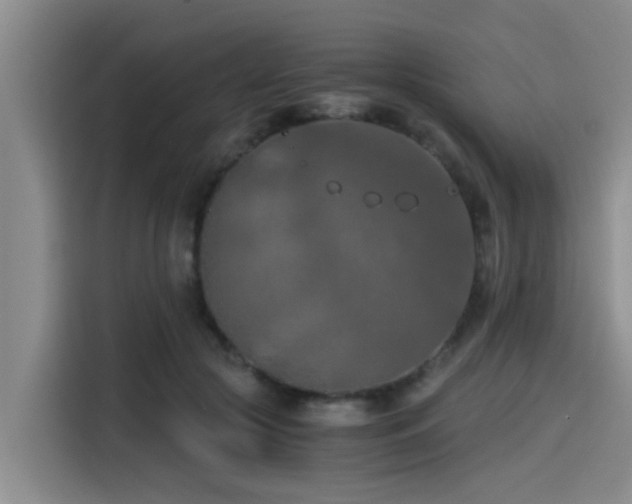 X0000115410553200911101613
