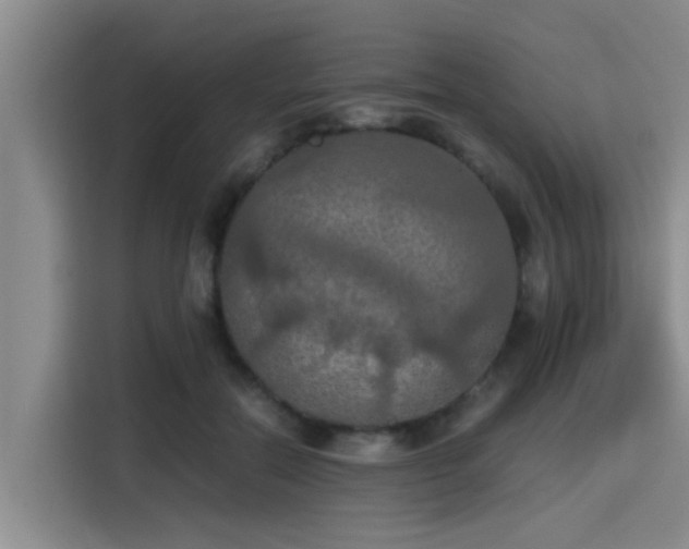 X0000115410554200911101613