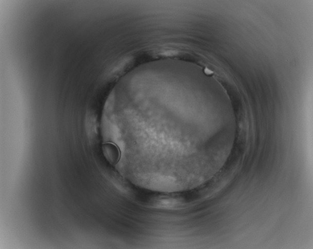 X0000115410555200911101614
