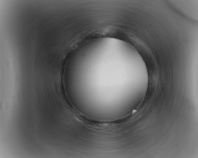 X0000115410558200911101614
