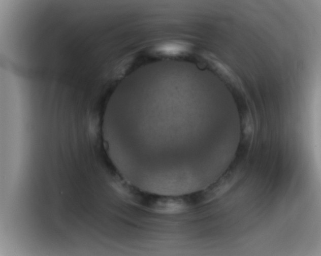 X0000115410559200911101614