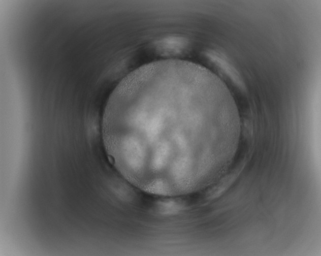 X0000115410561200911101614