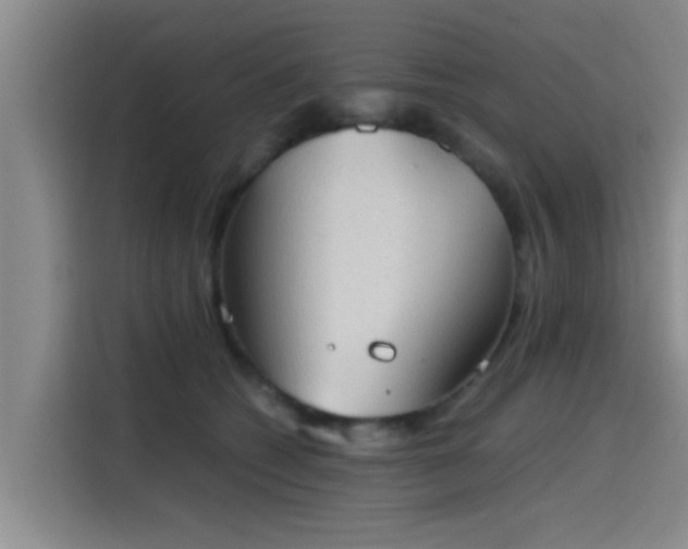 X0000115410562200911101614