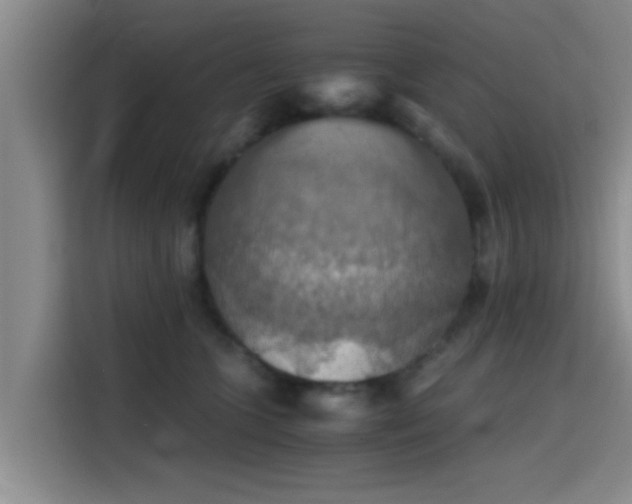 X0000115410563200911101614