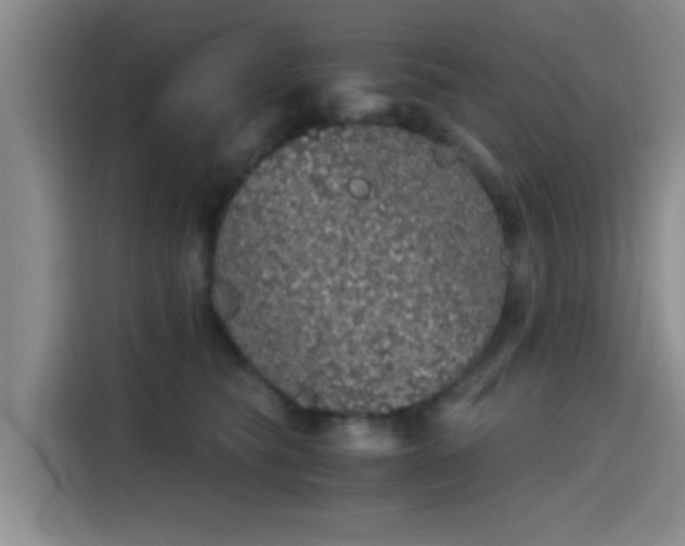 X0000115410565200911101614
