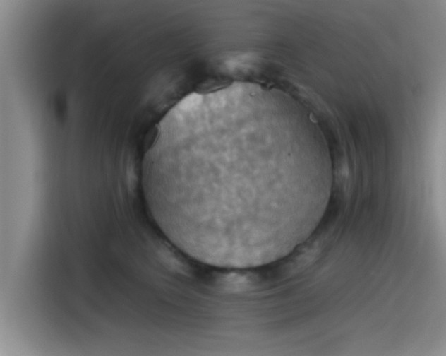 X0000115410566200911101614