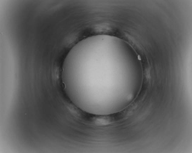 X0000115410567200911101614