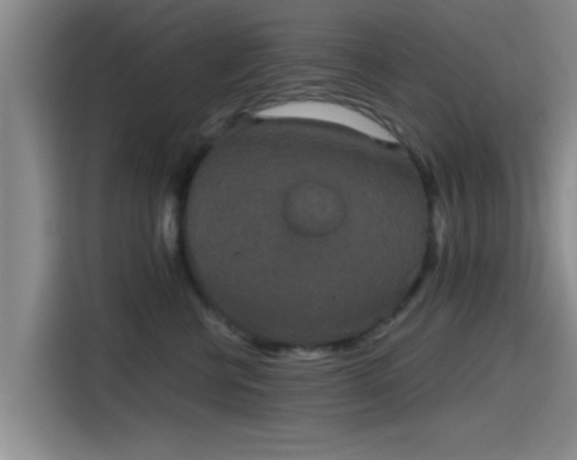 X0000115410570200911101614