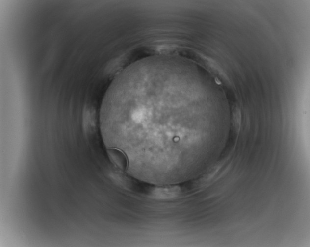 X0000115410571200911101614