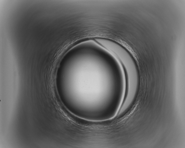 X0000115410577200911101613