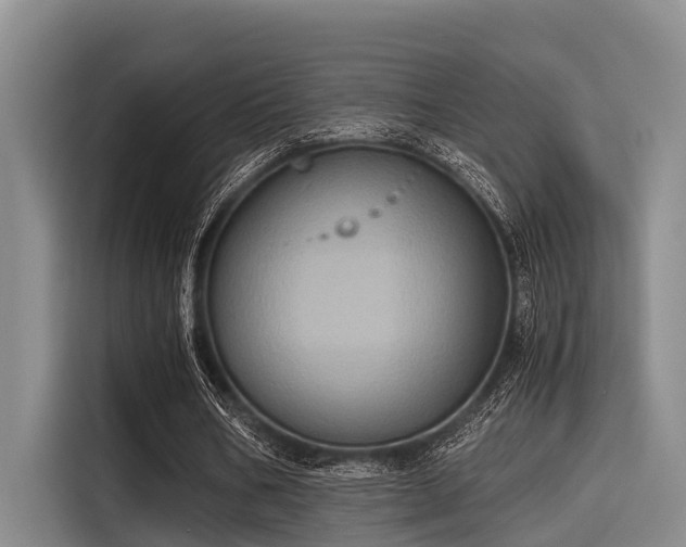 X0000115410578200911101613