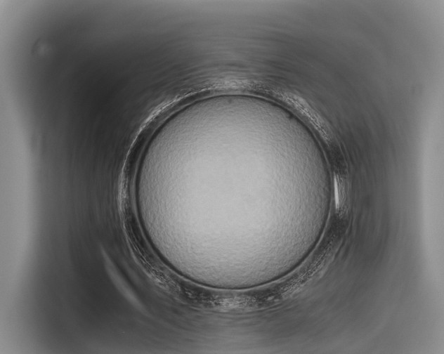 X0000115410579200911101613