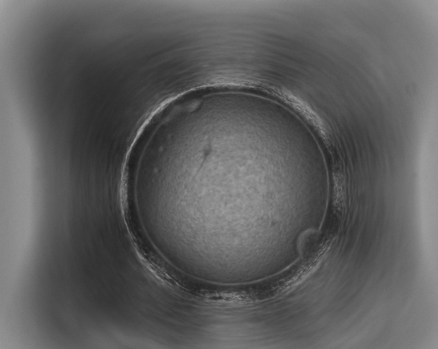 X0000115410580200911101613