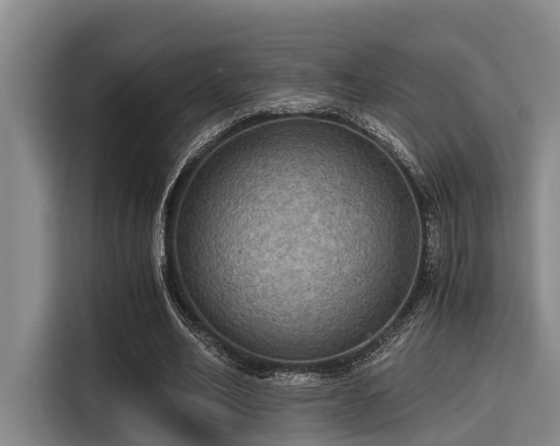X0000115410582200911101613