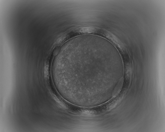 X0000115410585200911101613