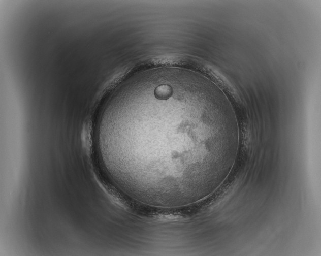 X0000115410586200911101613