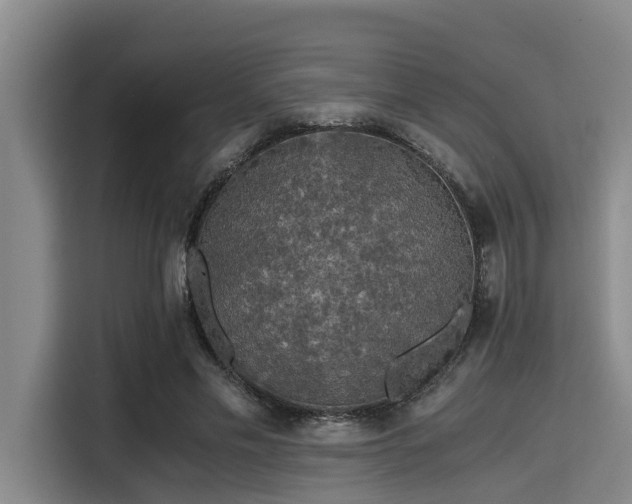 X0000115410589200911101613