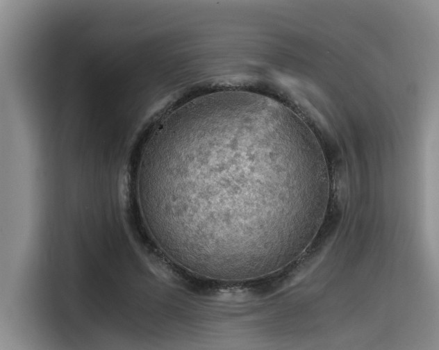 X0000115410591200911101613