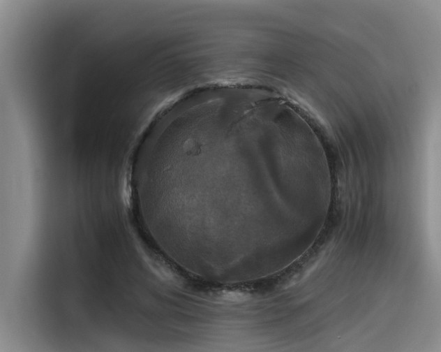 X0000115410592200911101613