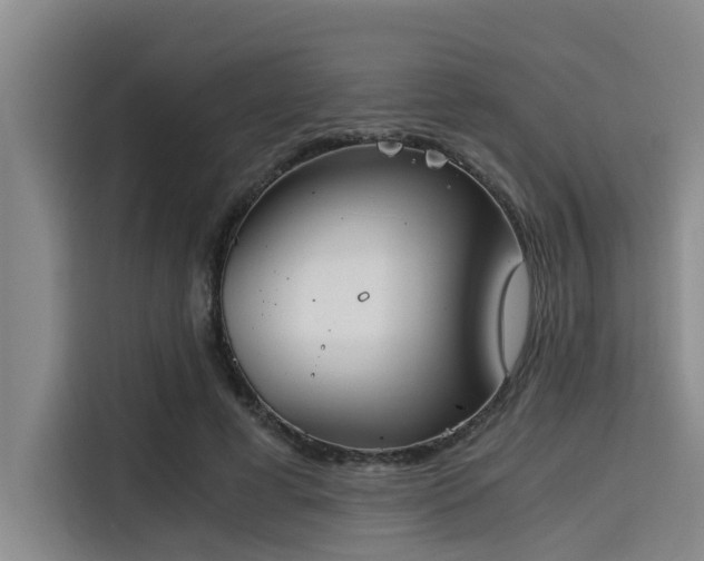 X0000115410593200911101613
