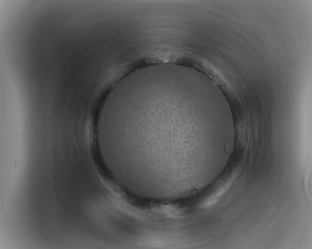 X0000115410594200911101613