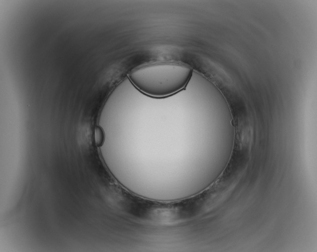 X0000115410595200911101613