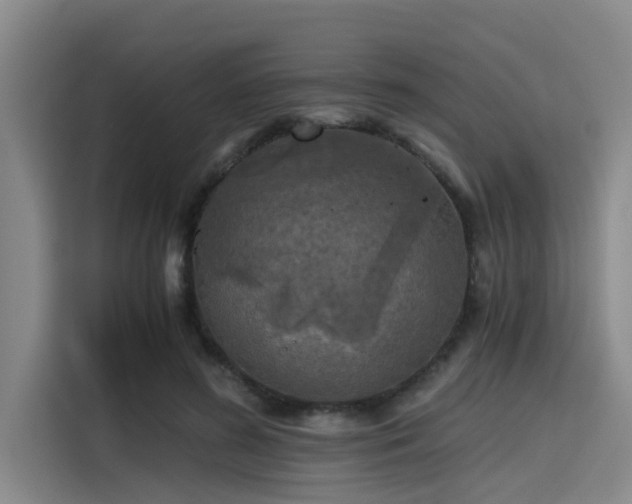 X0000115410596200911101613
