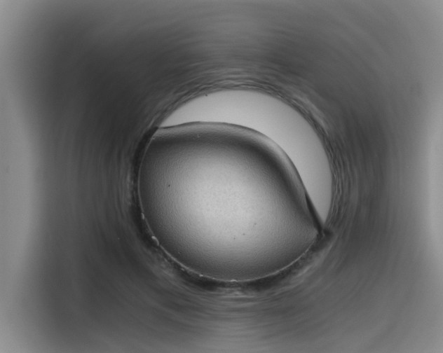 X0000115410597200911101613