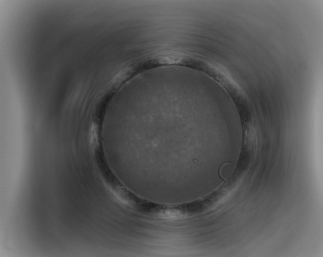 X0000115410598200911101613