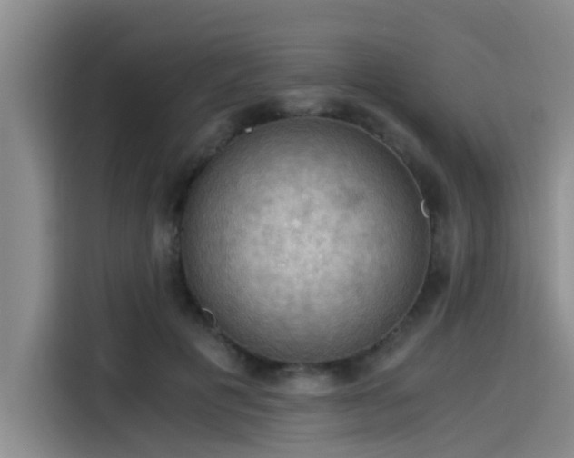 X0000115410601200911101613